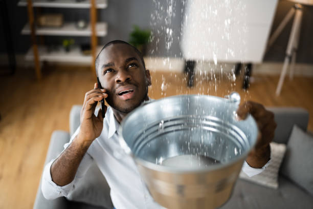 Best Water damage cleanup near me  in Woodburn, OR