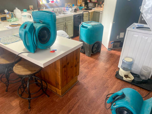 Best Residential water damage restoration  in Woodburn, OR